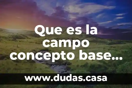 Que es la campo concepto base de datos