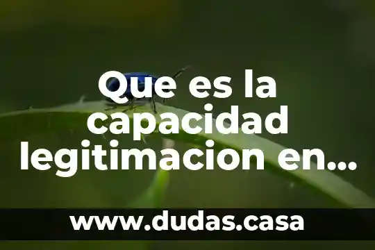 Que es la capacidad legitimacion en derecho procesal civil