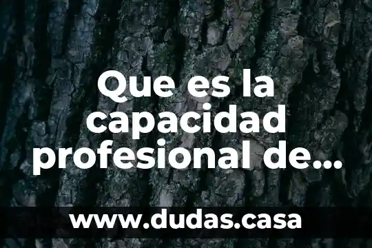 Que es la capacidad profesional de un contador público
