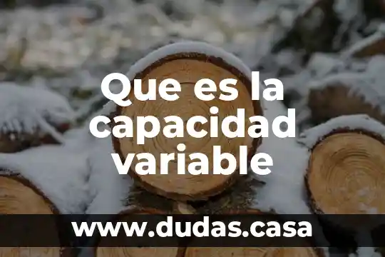 Que es la capacidad variable