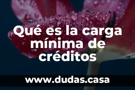 Qué es la carga mínima de créditos