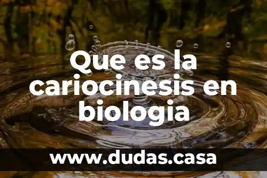 Que es la cariocinesis en biologia