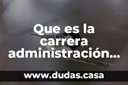Que es la carrera administración de las organizaciones