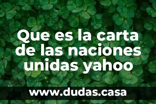 Que es el modelo de las naciones unidas 3 Que es la carta de las naciones unidas yahoo