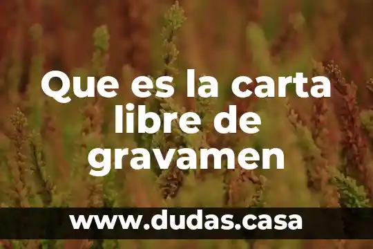 Que es la carta libre de gravamen