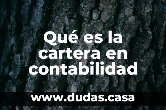 Qué es la cartera en contabilidad