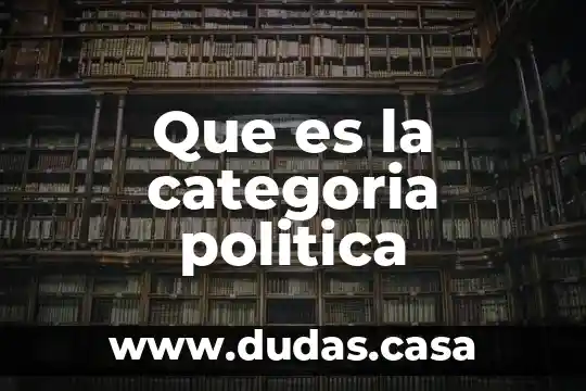 Que es la categoria politica