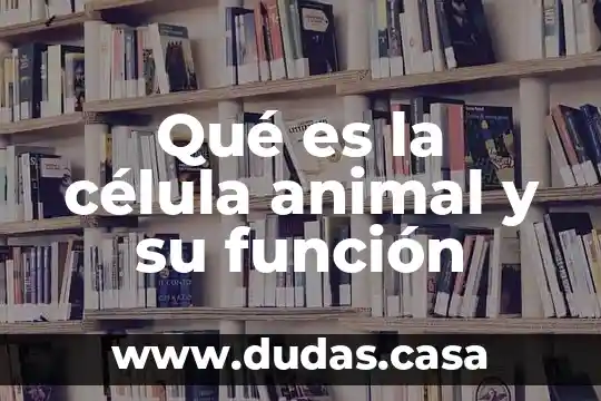 Qué es la célula animal y su función