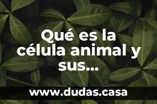 Qué es la célula animal y sus características