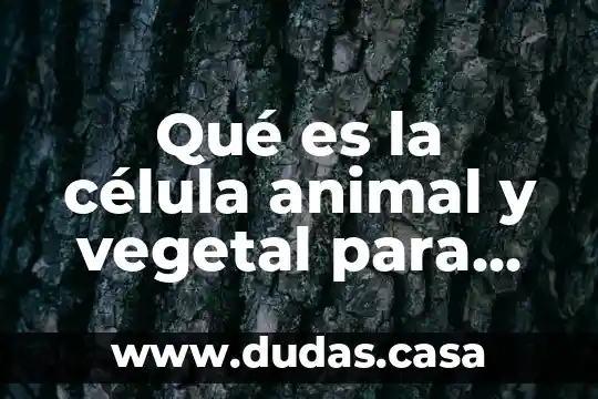 Qué es la célula animal y vegetal para niños