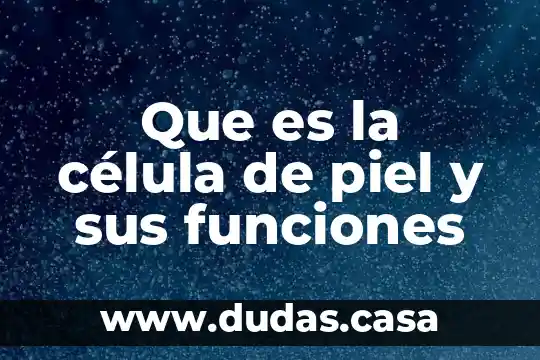 Que es la célula de piel y sus funciones
