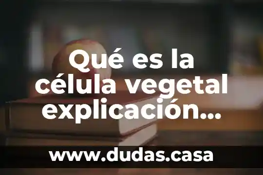Qué es la célula vegetal explicación para niños