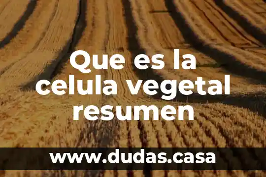 Que es la celula vegetal resumen