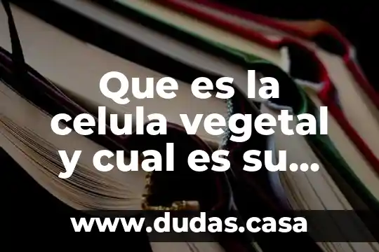 Que es la celula vegetal y cual es su funcion