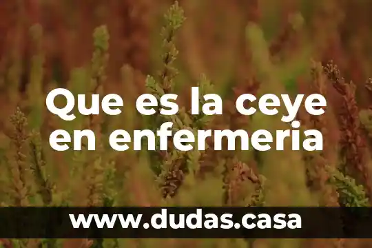 Que es la ceye en enfermeria