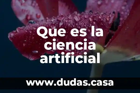 Que es la ciencia artificial