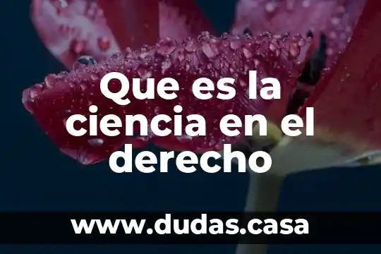 Que es la ciencia en el derecho