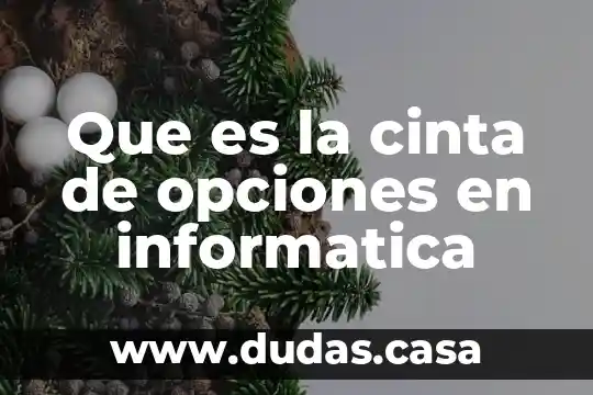 Que es la cinta de opciones en informatica