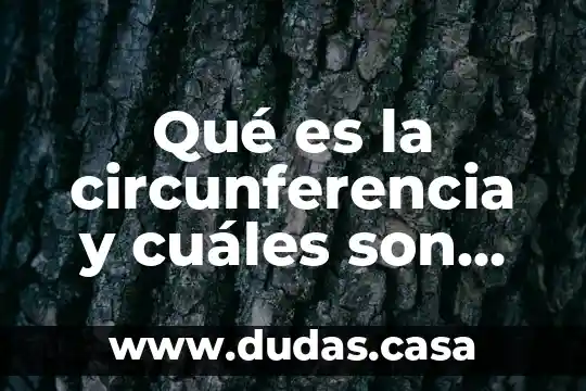Qué es la circunferencia y cuáles son sus componentes