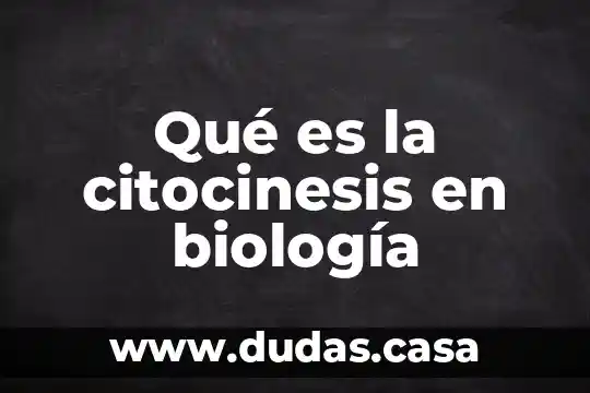 Qué es la citocinesis en biología