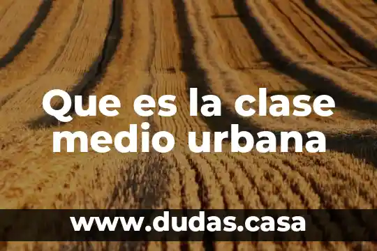Que es la clase medio urbana