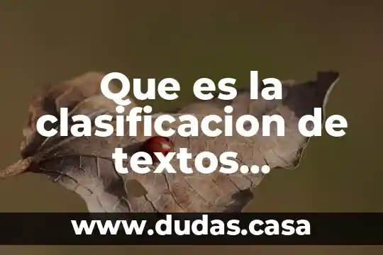 Que es la clasificacion de textos personales