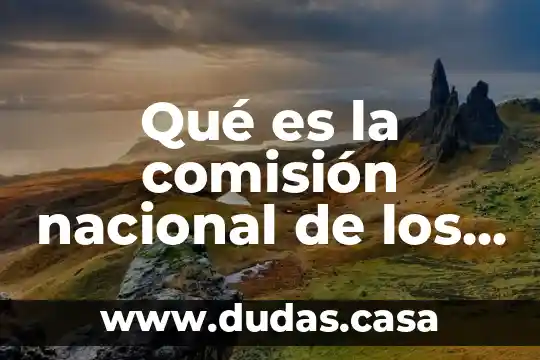 Qué es la comisión nacional de los pueblos indígenas