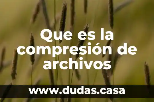 Que es la compresión de archivos