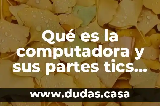 Qué es la computadora y sus partes tics primaria