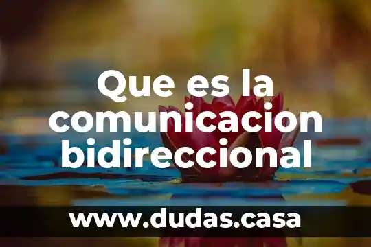 Que es la comunicacion bidireccional