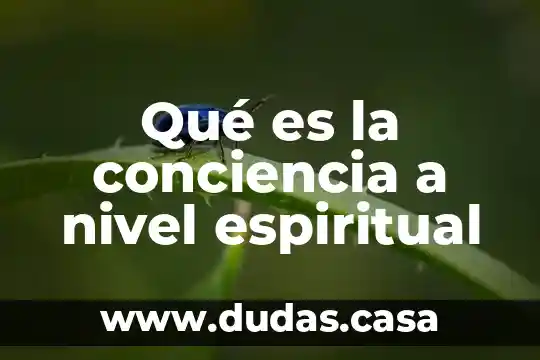 Qué es la conciencia a nivel espiritual