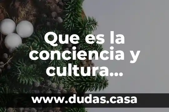 Que es la conciencia y cultura turistica