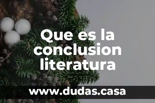 Que es la conclusion literatura