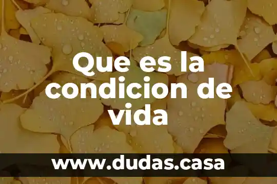 Que es la condicion de vida