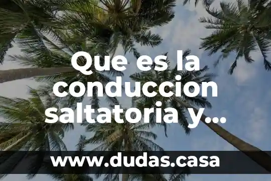 Que es la conduccion saltatoria y para que sirve