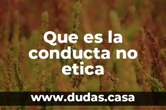 Que es la conducta no etica