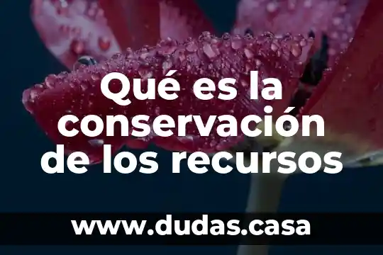 Qué es la conservación de los recursos