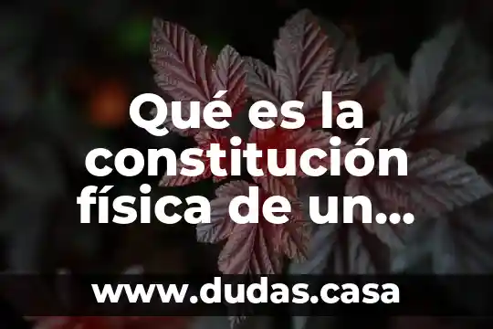 Qué es la constitución física de un producto