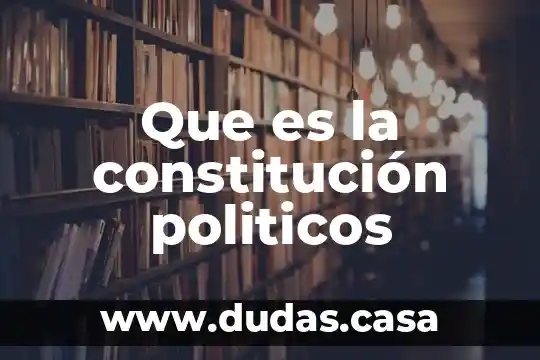 Que es la constitución politicos