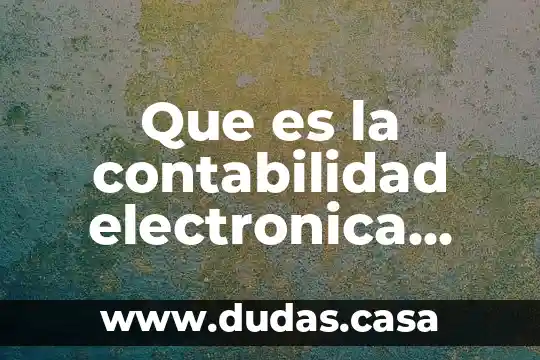 Que es la contabilidad electronica seguna utores