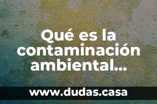 Qué es la contaminación ambiental consecuencias