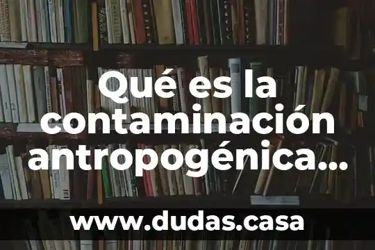 Qué es la contaminación antropogénica primaria y secundaria