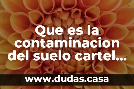 Que es la contaminacion del suelo cartel animado