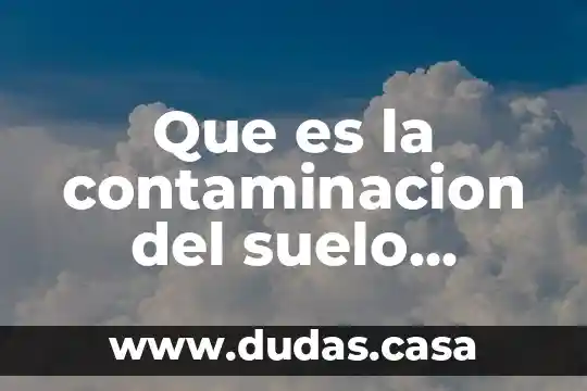 Que es la contaminacion del suelo causas y soluciones