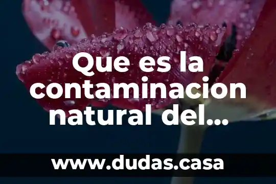 Que es la contaminacion natural del agua ejemplo