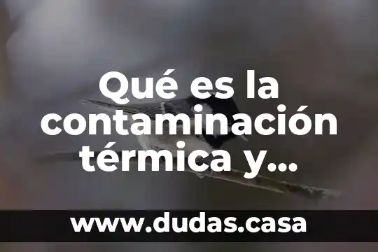 Qué es la contaminación térmica y cuáles son sus causas