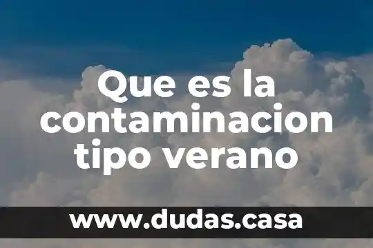 Que es la contaminacion tipo verano