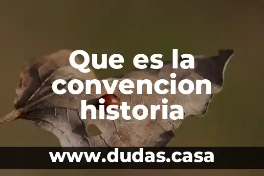 Que es la convencion historia