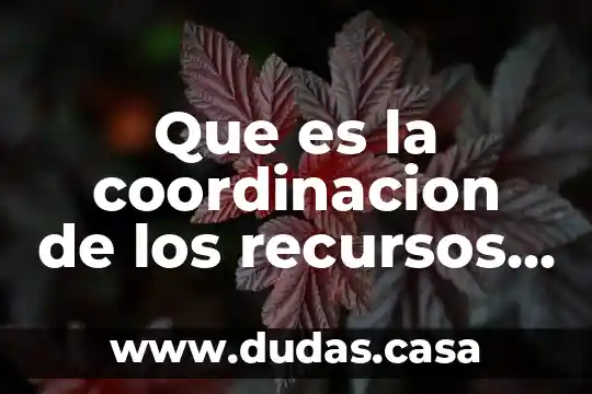 Que es la coordinacion de los recursos humanos