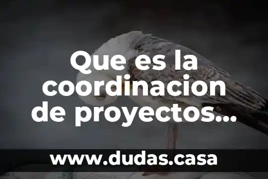 Que es la coordinacion de proyectos especiales en el gobernado